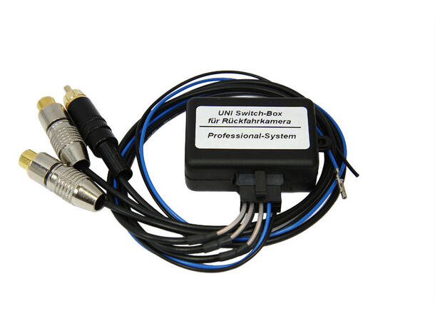 CAS Video switch universal For 2 videokilder